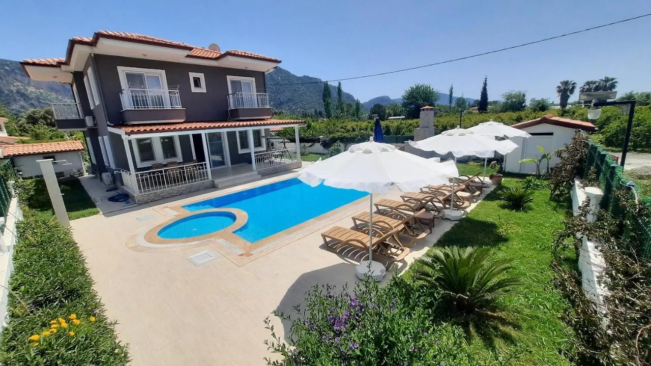 Villa Ema Ortaca