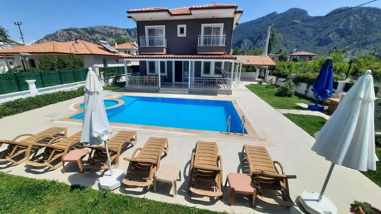 Villa Ema Ortaca