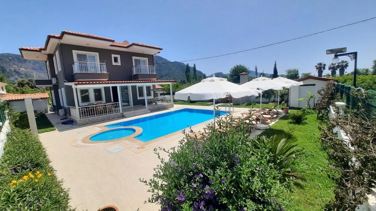 Villa Ema Ortaca  Ortaca (Mugla)