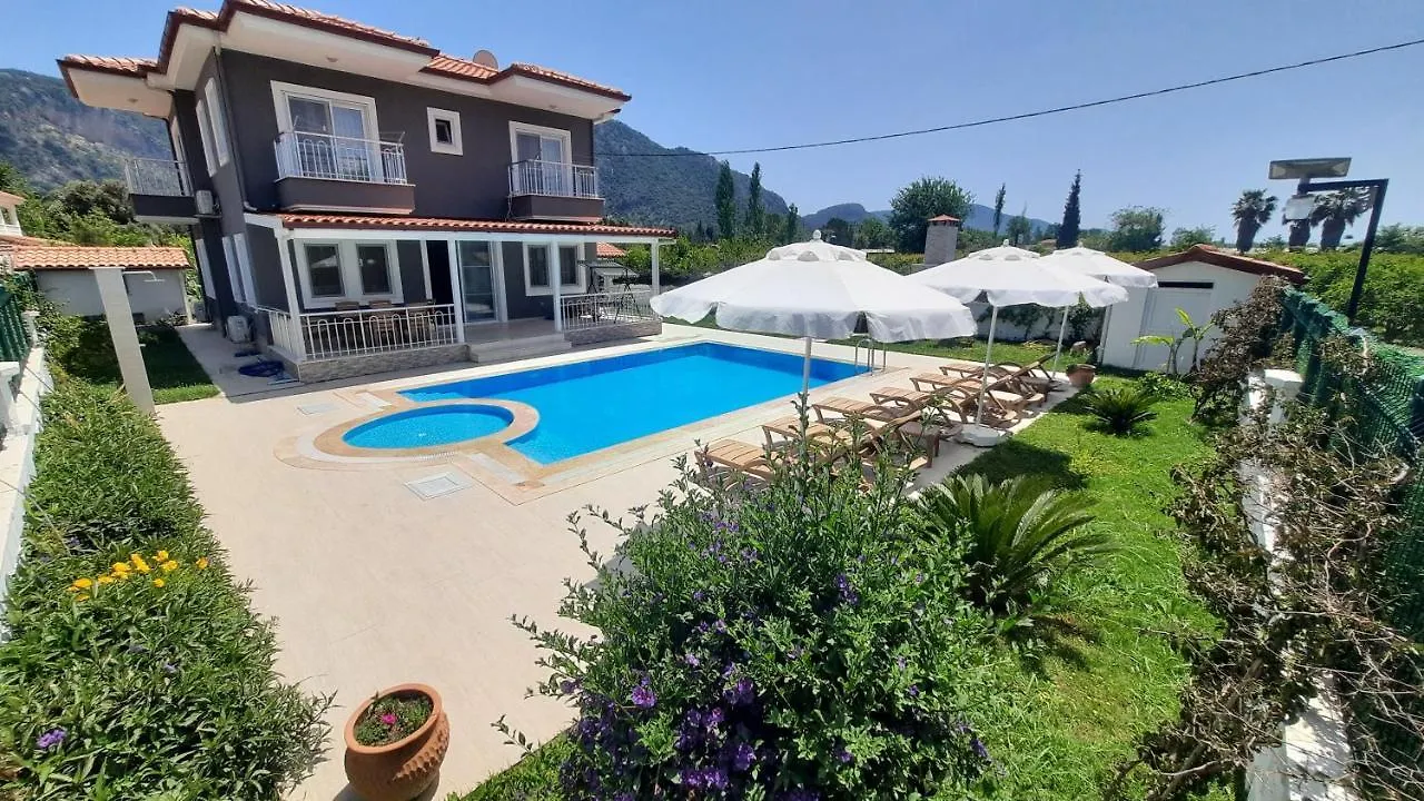Villa Ema Ortaca